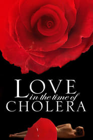 Love in the Time of Cholera (2007)