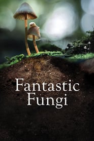 Fantastic Fungi (2019)